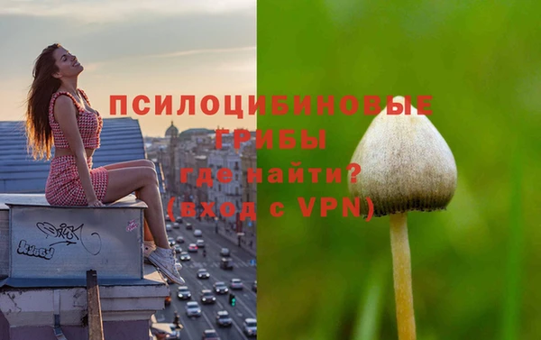 мет Пересвет